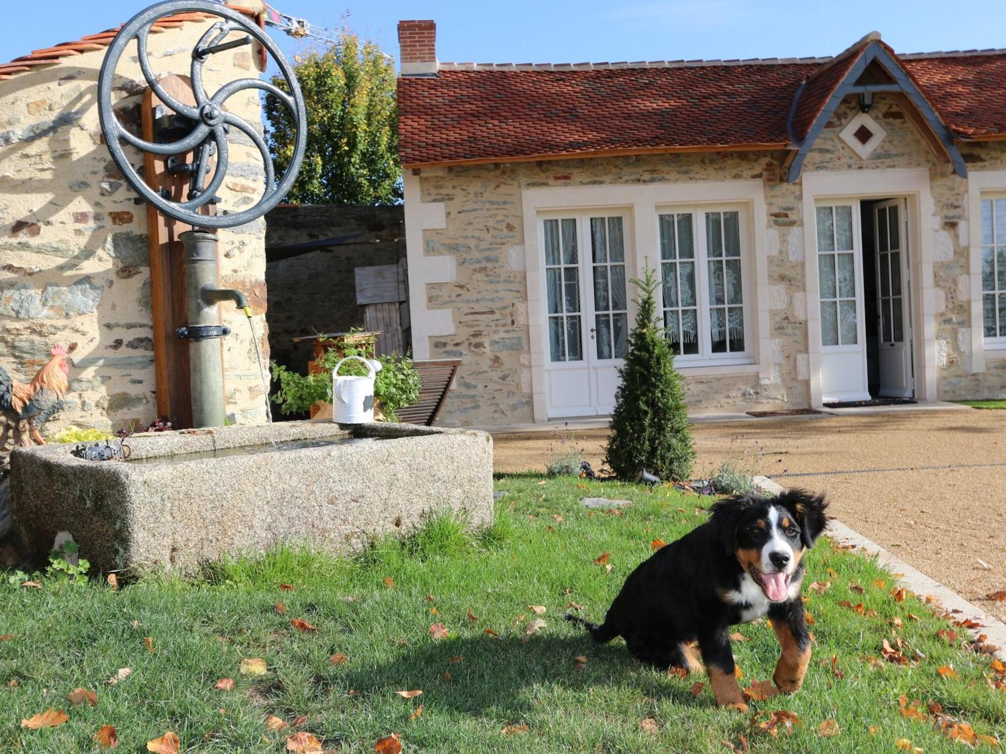 Mouchamps Gite L'Orangerie 빌라 외부 사진