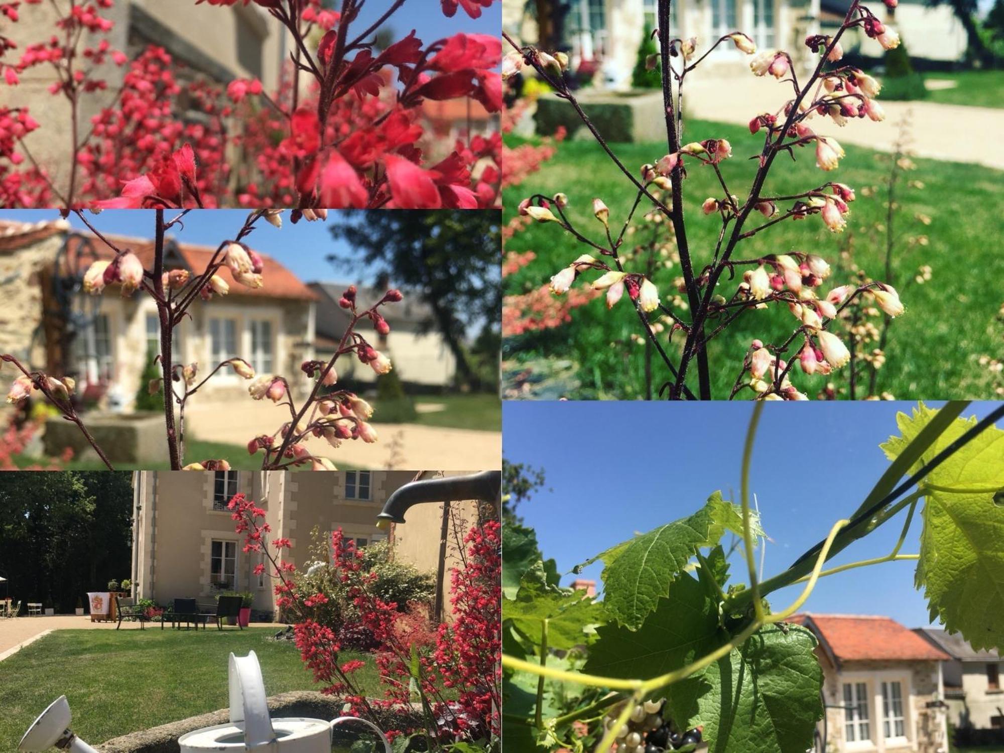 Mouchamps Gite L'Orangerie 빌라 외부 사진
